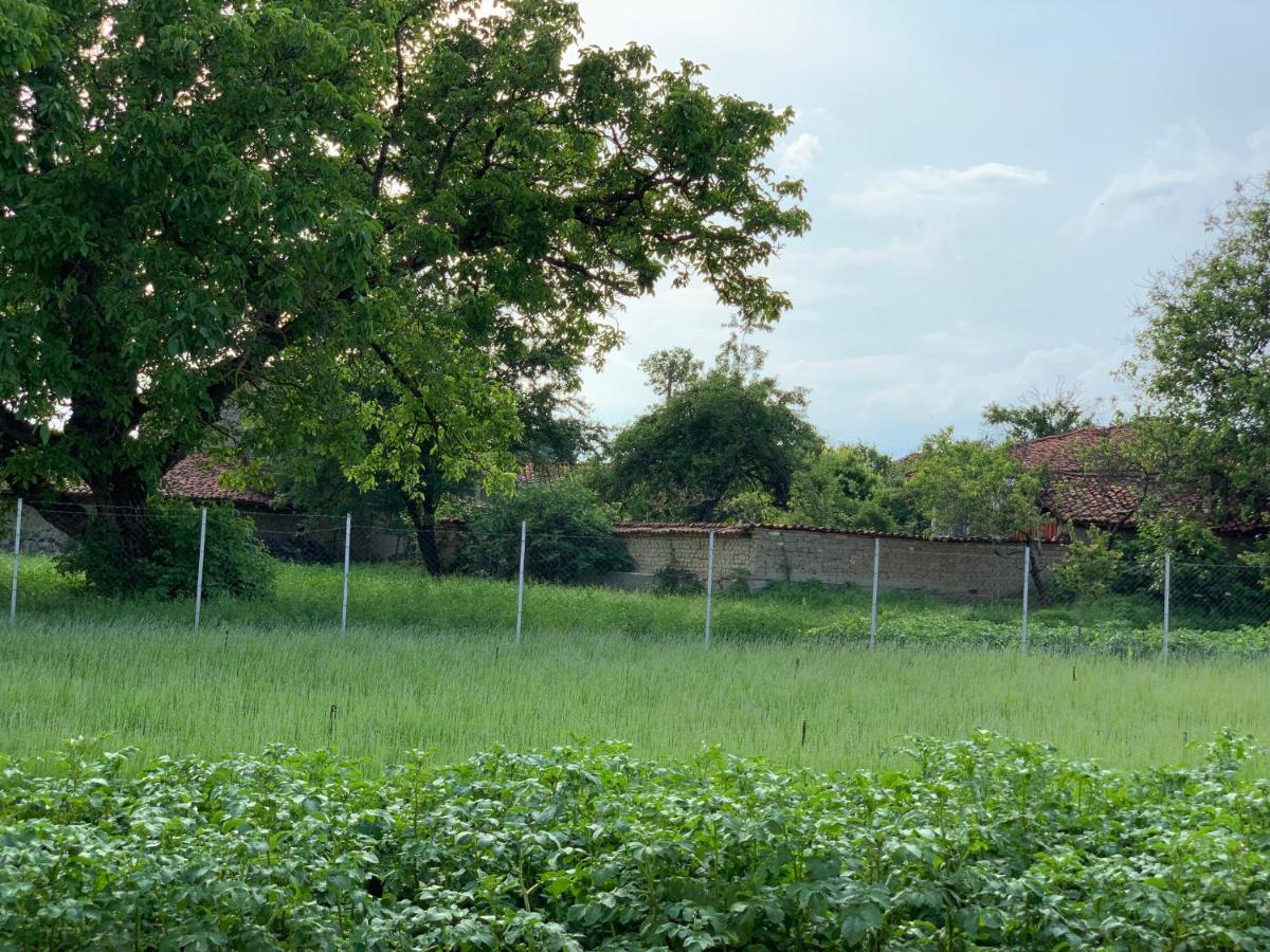 Vila Vila V S. Gabarevo, Dolinata Na Rozite. Exteriér fotografie